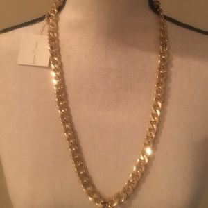 Olivia Welles Chain link Necklace NWT!!